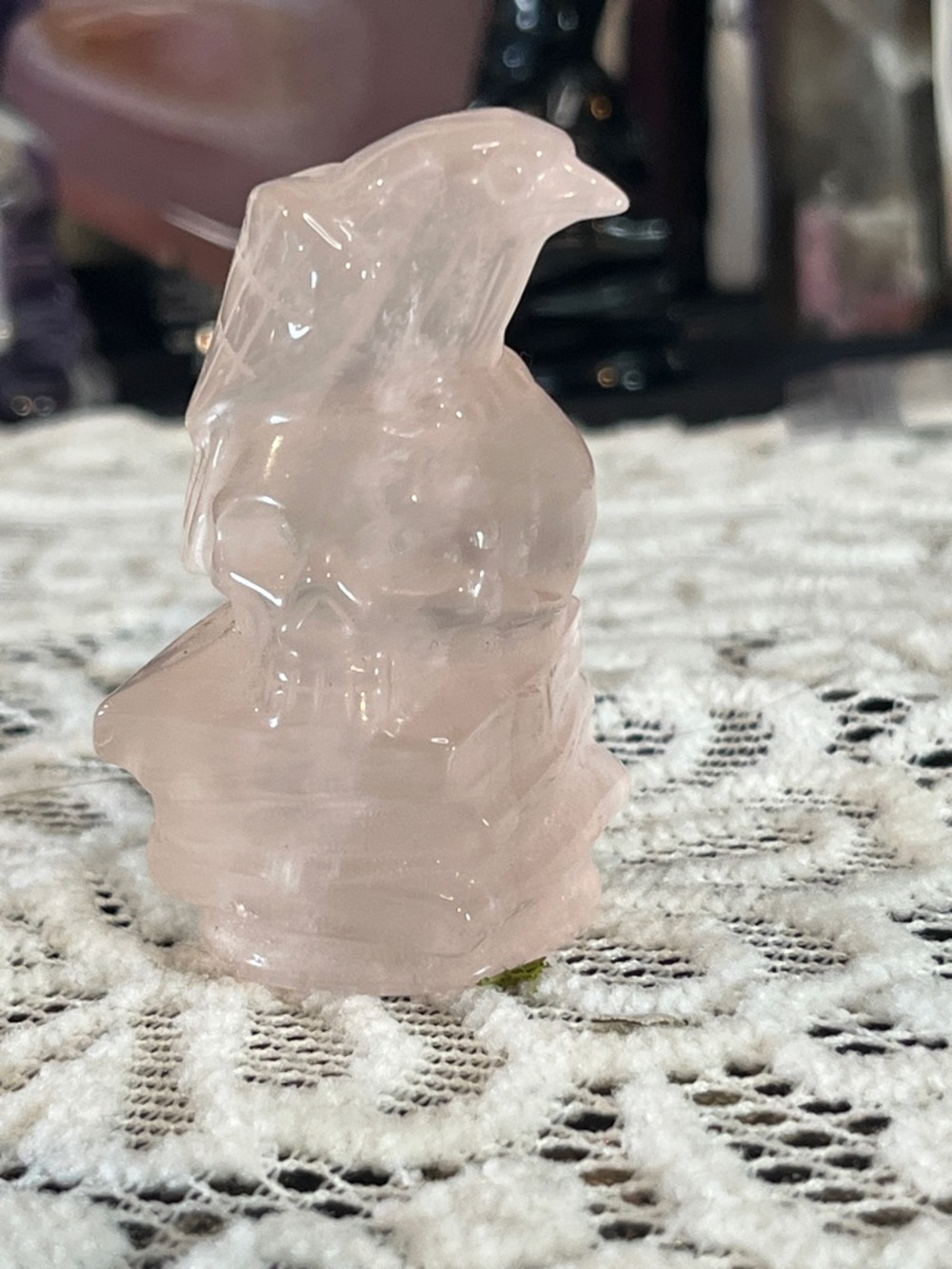 Rose quartz raven on skull and books